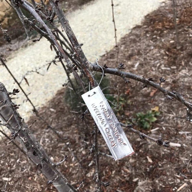 Tinsky Aluminum Plant Labels - 120PCS Metal Tags with Wires for Plant Markers, Tree Tags, Outdoor Identification and Greenhouse - Image 4